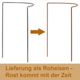 Pflanzenstütze Staudenstütze halbrund Edelrost - Ø 38 cm - 100 cm hoch aus 5mm unbehandeltem Stahldraht - Rost Roheisen Für den Garten - Metall - Buschstütze - Staudenstütze Pflanzbogen Staudenhalter Rankhilfe Pflanzenring
