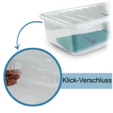 Unterbettkommode Aufbewahrungsbox mit Deckel 42 Liter - 80x40x18cm - transparent stapelbar
