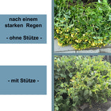 Pflanzenstütze halbrund - Ø38 x 115 cm - Blumenhalter Stütze Blumen Stauden Büsche grün